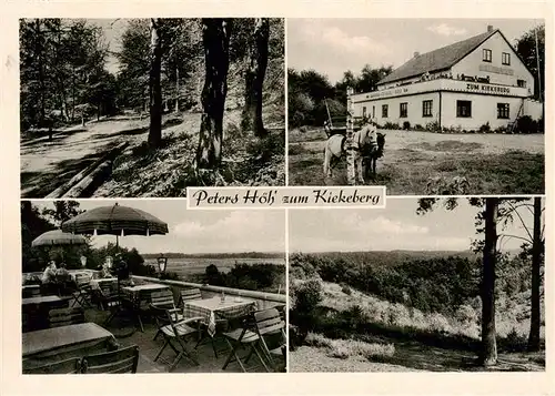 AK / Ansichtskarte 73876742 Ehestorf_Harburg Peters Hoeh zum Kiekeberg Terrasse Panorama Ehestorf_Harburg