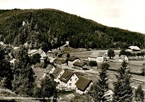 AK / Ansichtskarte  Hammereisenbach-Bregenbach Ortsansicht Hammereisenbach-Bregenbach