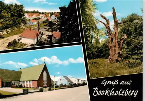 AK / Ansichtskarte  Bookholzberg_Ganderkesee Ortsansichten Natur Alter Baum 