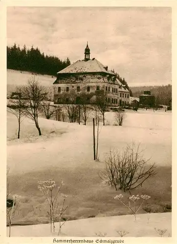 AK / Ansichtskarte  Dresden_Elbe Hammerherrenhaus Schmalzgrube 