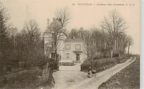 AK / Ansichtskarte  Dourdan_91_Essonne Chateau des Alouettes 