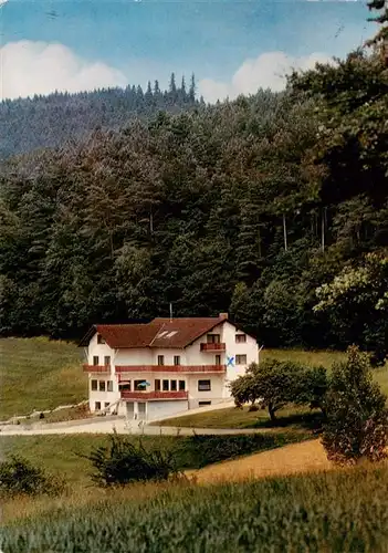 AK / Ansichtskarte  Rohrbach_Oberfranken Gasthaus Pension Zum Laermteuer Rohrbach Oberfranken