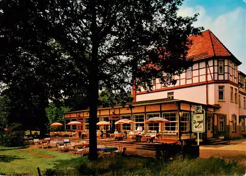 AK / Ansichtskarte 73877409 Lueneburger_Heide Waldheim Lohbergen Terrasse Lueneburger Heide