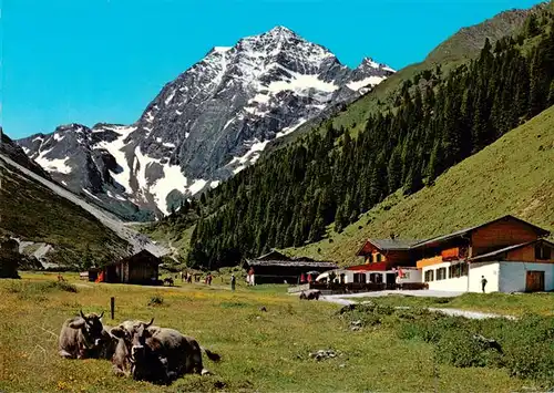 AK / Ansichtskarte  Pinnisalm_1559m_Stubaital_AT Alpengasthaus Pinnisalm mit Blick zum Habicht 