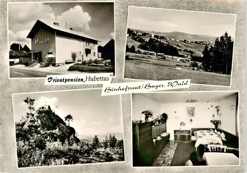 AK / Ansichtskarte 73878073 Bischofsreut_Haidmuehle Privatpenison Hubertus Panorama Felsen Zimmer Bischofsreut_Haidmuehle