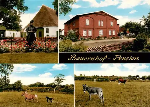 AK / Ansichtskarte 73878109 Huje_Itzehohe Bauernhof Pension Garten Stute mit Fohlen Esel 