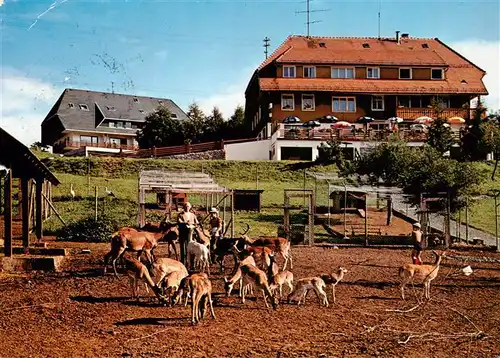 AK / Ansichtskarte  Haeusern_Schwarzwald Hotel Pension Waldlust Zumkellers Wildgehege Haeusern Schwarzwald