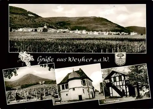 AK / Ansichtskarte  Weyher_Pfalz Gesamtansicht Ludwigshoehe mit Rietburg Alte Schule Schweizerhaus Weyher Pfalz