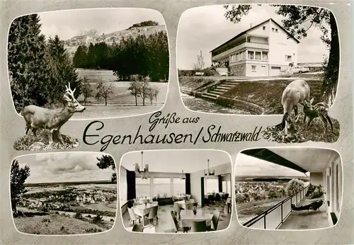 AK / Ansichtskarte  Egenhausen_Wuerttemberg Panorama Erholungsort im Schwarzwald Kurhaus Bergfrieden Café Restaurant Wild Egenhausen Wuerttemberg