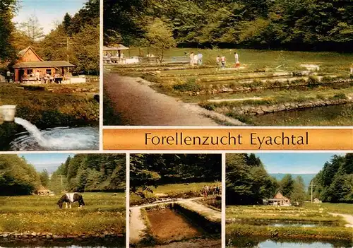 AK / Ansichtskarte  Eyach_Eutingen_Gaeu Forellenzucht Eyachtal Zuchtbecken Teilansichten Eyach_Eutingen_Gaeu