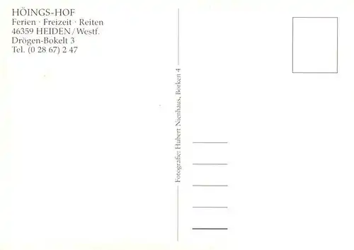 AK / Ansichtskarte  Heiden_Lippe_Westfalen Hoeings Hof Heiden Reiterhof Zimmer Gaststaette 