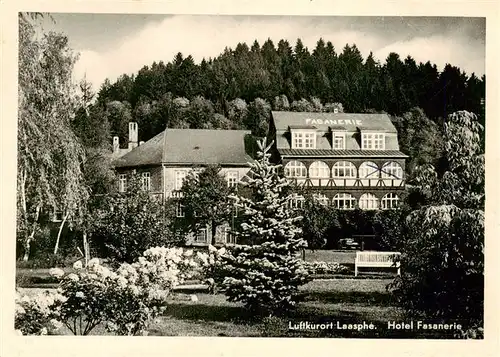 AK / Ansichtskarte  Laasphe Hotel Fasanerie Laasphe