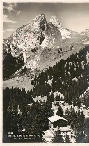 AK / Ansichtskarte  Jumelles_Les Hotel du Lac Tanay Jumelles_Les