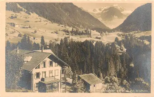 AK / Ansichtskarte  Muerren_BE Pension Oldenhorn mit Blick auf Wildhorn Muerren_BE