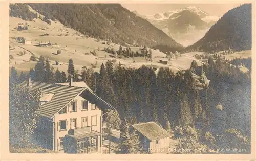 AK / Ansichtskarte  Muerren_BE Pension Oldenhorn mit Blick auf Wildhorn Muerren_BE