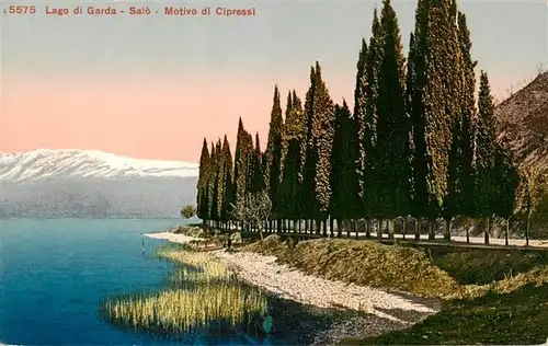 AK / Ansichtskarte  Salo_Lago_di_Garda_IT Motivo di Cipressi 