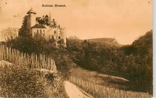 AK / Ansichtskarte  Birseck Schloss Birseck Birseck