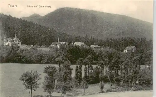 AK / Ansichtskarte  Tabarz_Bad_Tabarz Villen am Zimmerberg 