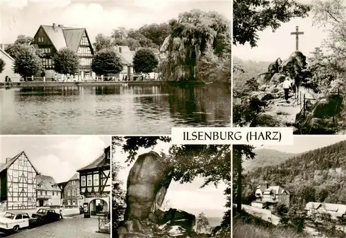 AK / Ansichtskarte  Ilsenburg_Harz Forellenteich Ilsestein Huettenmuseum Paternosterklippen Kurheim Martin Andersen Nezoe Ilsenburg Harz