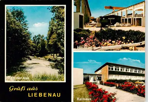 AK / Ansichtskarte  Liebenau_Nienburg Partie an der Aue Hochtief Rathaus Liebenau Nienburg