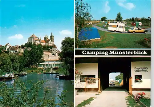 AK / Ansichtskarte  Breisach_Rhein Camping Muensterblick Uferpartie am Fluss Breisach Rhein