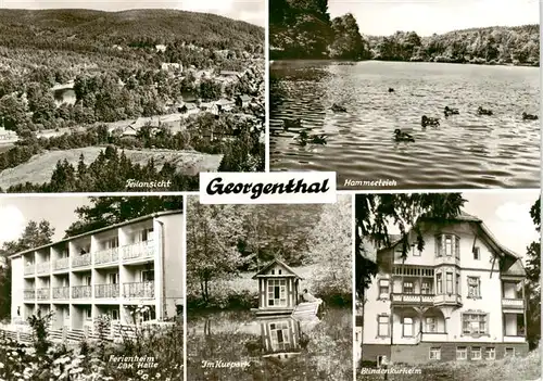 AK / Ansichtskarte  Georgenthal_Gotha Panorama Hammerteich Ferienheim LBK Halle Im Kurpark Blindenkurheim Georgenthal Gotha