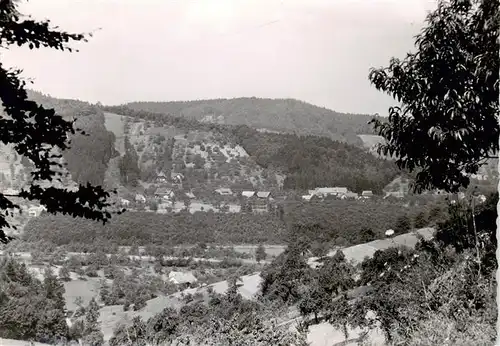 AK / Ansichtskarte  oedsbach_Oberkirch Panorama 