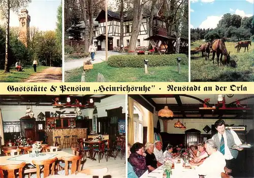 AK / Ansichtskarte  Neustadt_Orla Gaststaette Pension Heinrichsruhe Aussichtsturm Gastraeume Pferdeweide Neustadt_Orla