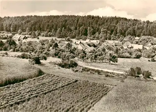 AK / Ansichtskarte  Ernstroda Panorama 