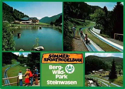 AK / Ansichtskarte  Todtnau Berg Wildpark Steinwasen Sommerrodelbahn Details Todtnau