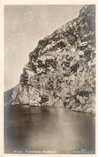 AK / Ansichtskarte  Fuglebjerg_Island_Norge Kuestenpanorama Steilkueste 