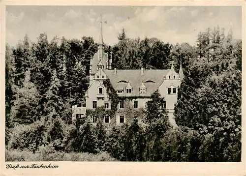 AK / Ansichtskarte  Taubenheim_Meissen Schloss 