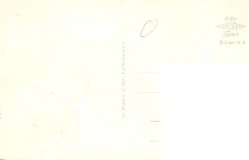 AK / Ansichtskarte  Blankenheim_Ahr Orts und Teilansichten Denkmal Panorama Blankenheim_Ahr