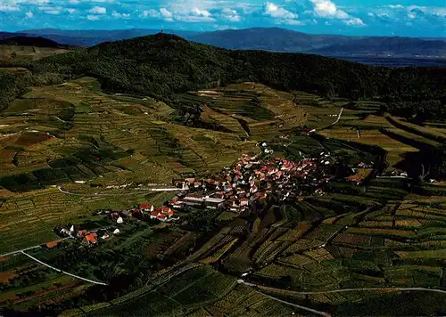 AK / Ansichtskarte  Bickensohl_Vogtsburg_Kaiserstuhl Fliegeraufnahme 