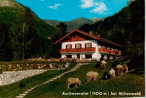 AK / Ansichtskarte  Mittenwald_Bayern Aschaueralm Mittenwald Bayern