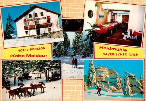 AK / Ansichtskarte 73880891 Haidmuehle Hotel Pension Kalte Moldau Gastraum Wildfuetterung Skipiste Haidmuehle
