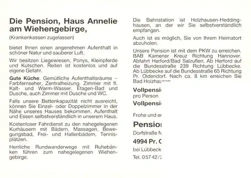 AK / Ansichtskarte 73881288 Bad_Holzhausen_Luebbecke_Preussisch_Oldendorf_NRW Pension Haus Annelie Park Brunnen 