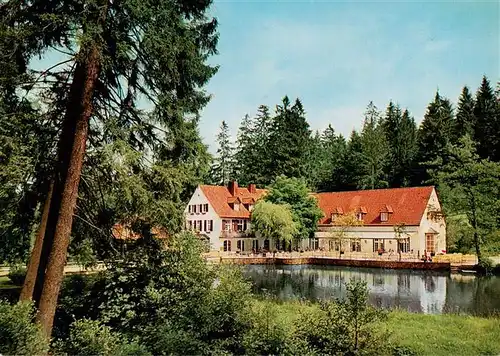 AK / Ansichtskarte  Bad_Meinberg Waldhotel Pension Silbermuehle Bad_Meinberg