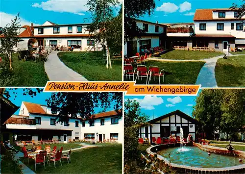 AK / Ansichtskarte  Heddinghausen_Broel Pension Haus Annelie Gartenterrasse Brunnen Heddinghausen Broel