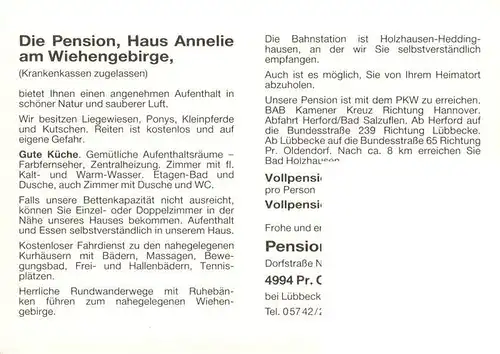 AK / Ansichtskarte 73881773 Heddinghausen_Broel Pension Haus Annelie Gartenterrasse Brunnen Heddinghausen Broel