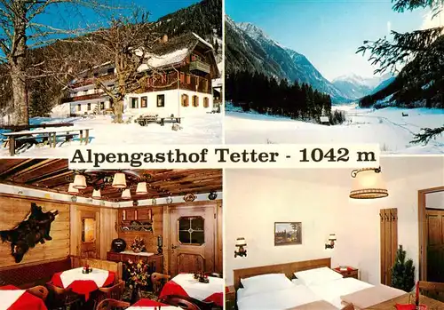 AK / Ansichtskarte  Schladming_Obersteiermark_AT Alpengasthof Tetter Panorama Gaststube Zimmer 