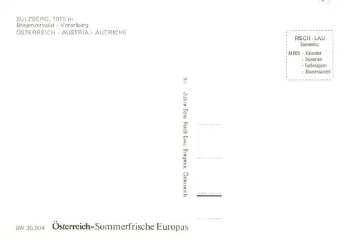 AK / Ansichtskarte  Sulzberg_Vorarlberg_AT Panorama Bregenzerwald 