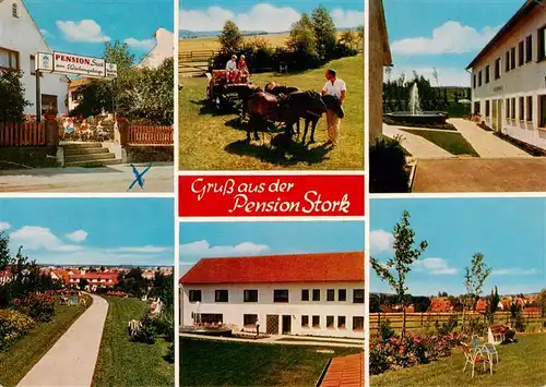 AK / Ansichtskarte  Bad_Holzhausen_Luebbecke_Preussisch_Oldendorf_NRW Pension Haus Stork am Wiehengebirge Ponykutsche 