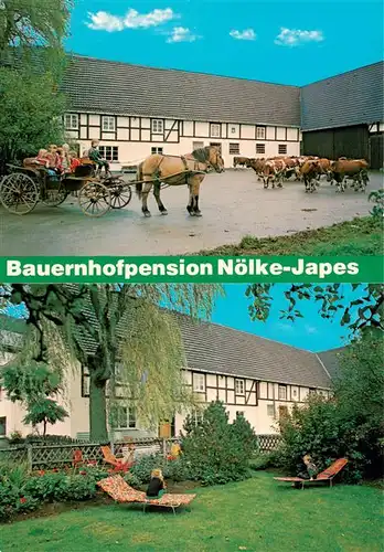 AK / Ansichtskarte  Meschede Bauernhofpension Noelke Japes Pferdekutsche Liegewiese Meschede