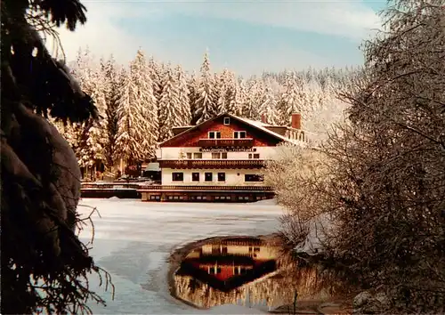 AK / Ansichtskarte  Fichtelberg_Oberwiesenthal_Erzgebirge Waldhotel am Fichtelsee 