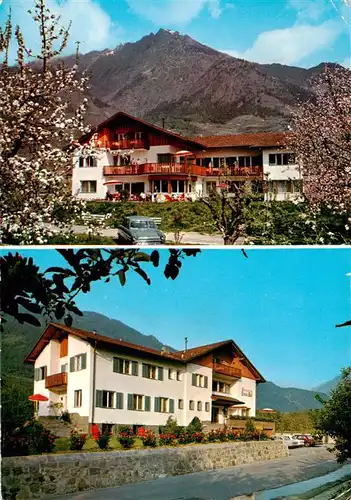 AK / Ansichtskarte 73882782 Algund_Merano_Suedtirol_IT Gaesteheim Pension Wolf 