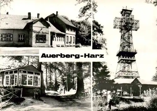 AK / Ansichtskarte 73882842 Auerberg_Harz Gaststaette Auerberg Weg zur Josephshoehe Josephskreuz Auerberg Harz