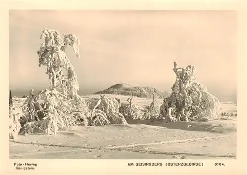 AK / Ansichtskarte 73882877 Geisingberg_821m_Altenberg_Erzgebirge_Sachsen Winterpanorama 