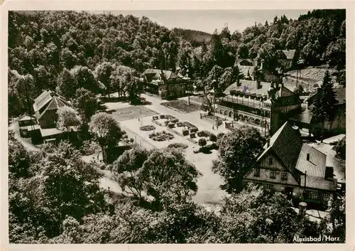 AK / Ansichtskarte  Alexisbad_Harz Panorama Alexisbad_Harz