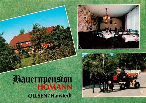 AK / Ansichtskarte 73882919 Ollsen_Hanstedt Bauernpension Gaststube Pferdekutsche 